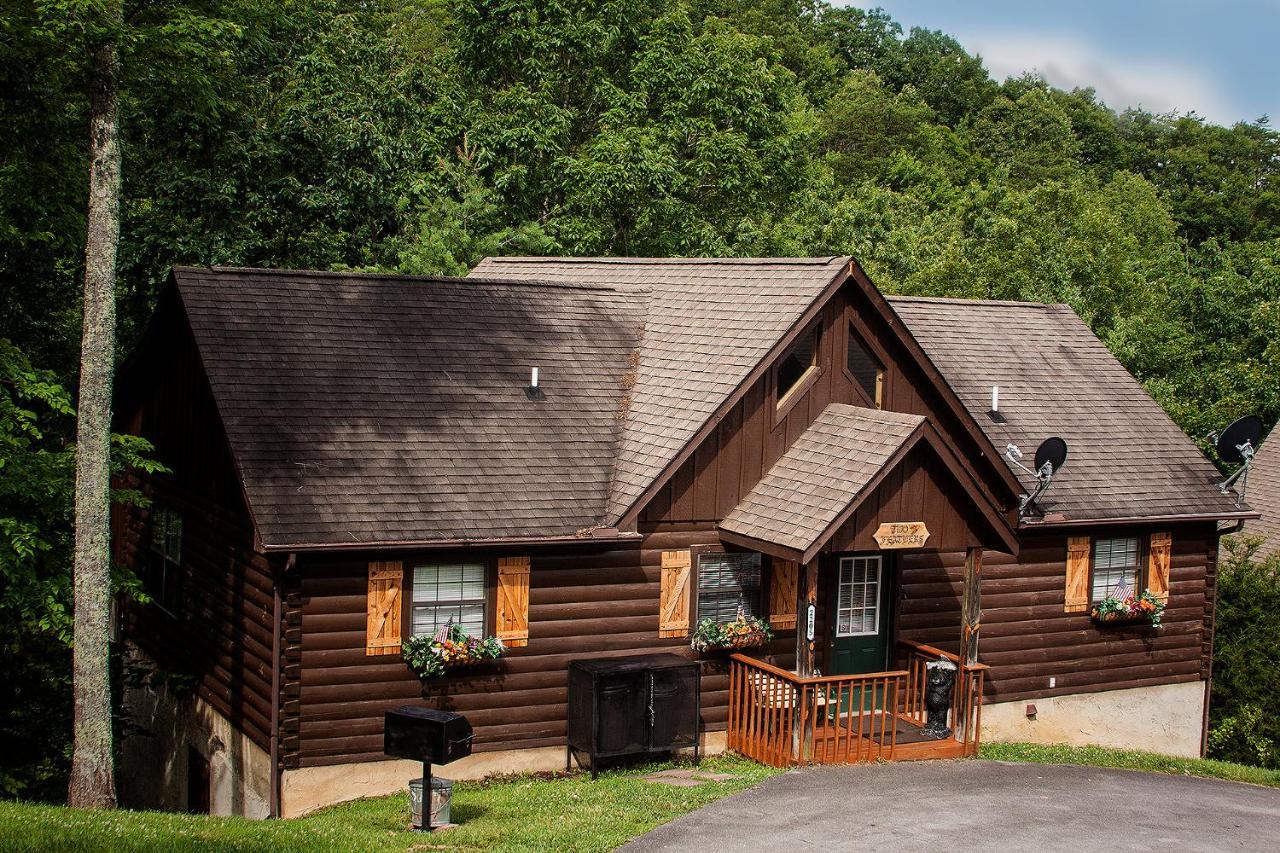 Idyllic Cabin With Hot Tub Less Than 2 Mi To Dollywood! Sevierville Zewnętrze zdjęcie